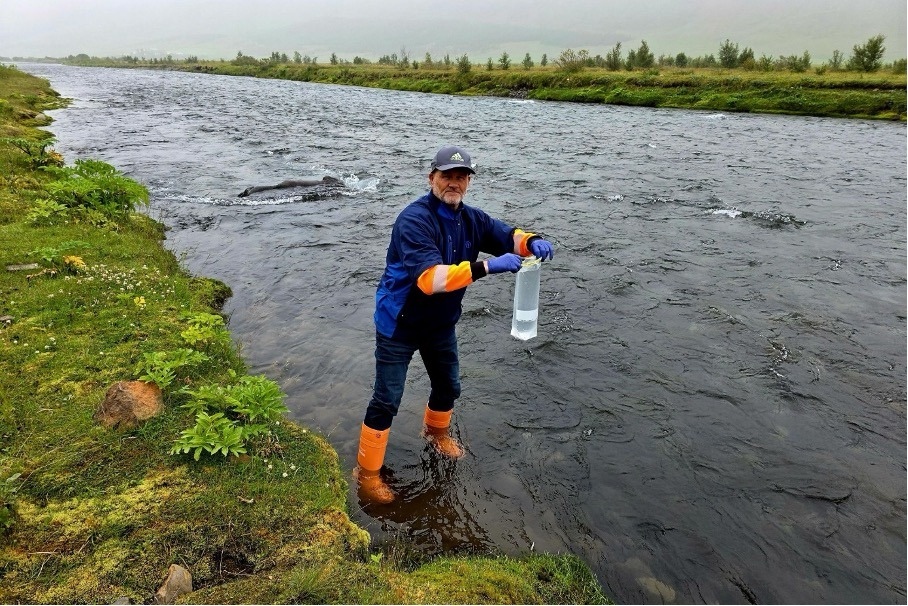 Þorleifur Ágústsson takes samples from Eyjafjörður River for genetic analysis.