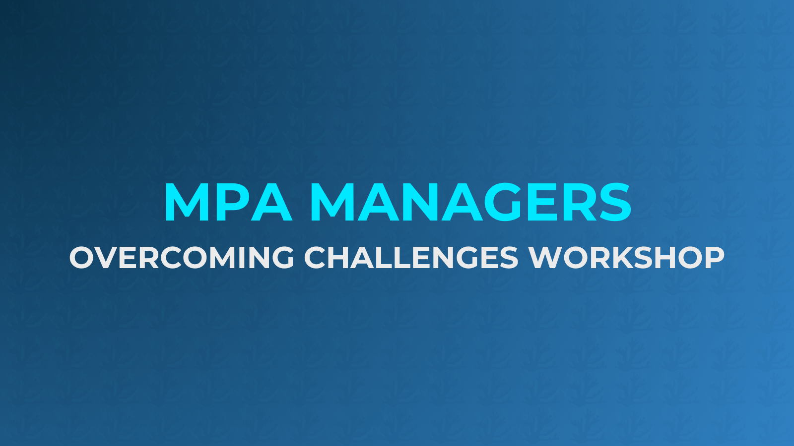 MPA Managers – Overcoming Challenges Workshop - PHAROS Project