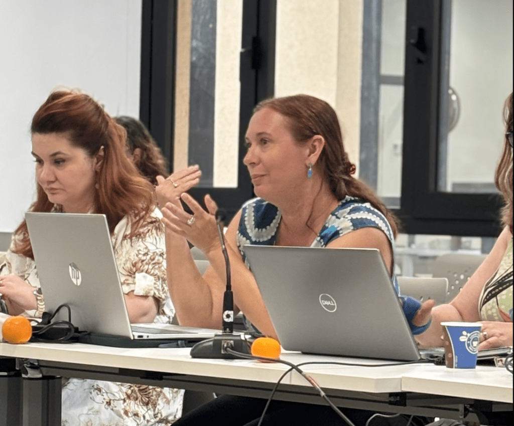 ICORSA WP2, Dannie O'Brien