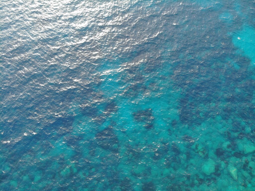 Digital Twin Ocean birds-eye view.