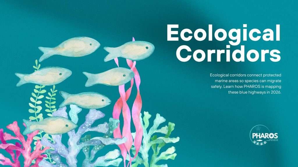 Image shows title: Ecological Corridors with some drawings of fishes and a PHAROS logo.