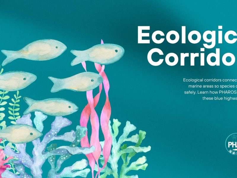 Image shows title: Ecological Corridors with some drawings of fishes and a PHAROS logo.