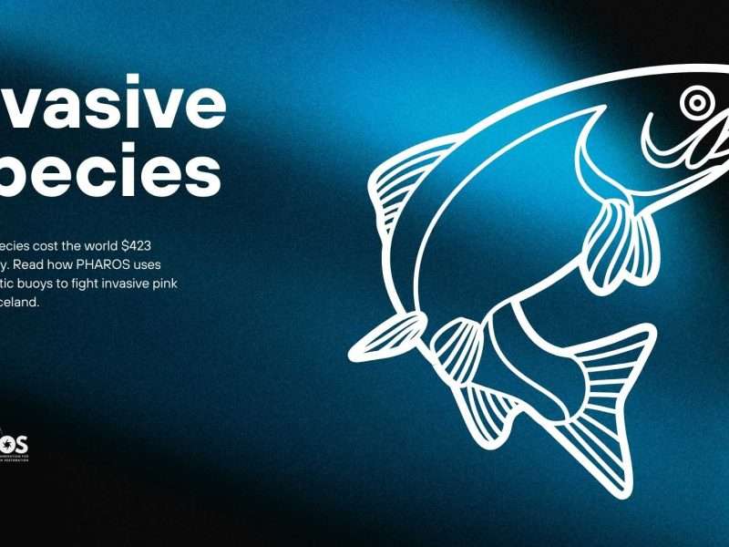 Image shows text that reads: Invasive species with an image of a white outlined salmon and pharos logo.