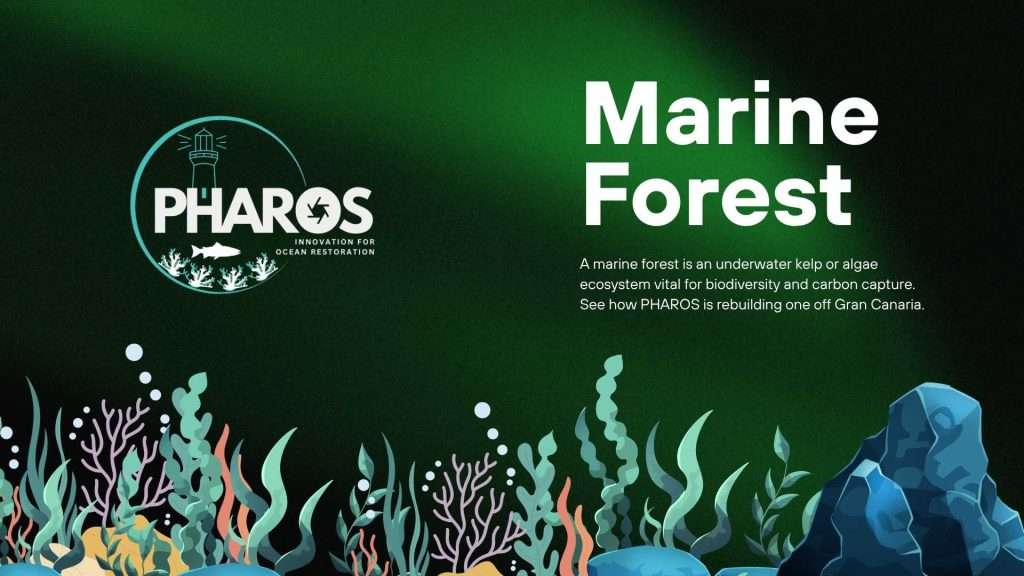 Image has text that reads: Marine Forest and also contains the pharos logo.