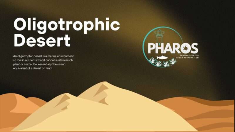 Image contains text that reads: Oligotrophic Desert with PHAROS logo