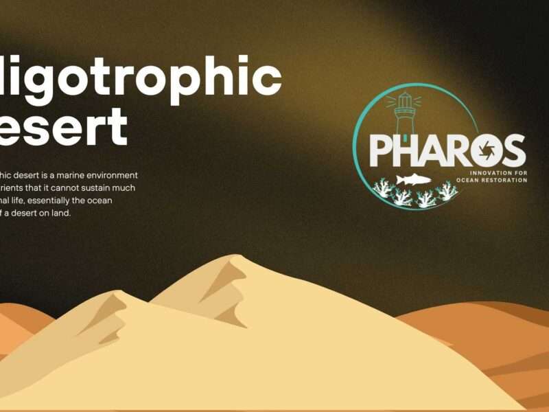 Image contains text that reads: Oligotrophic Desert with PHAROS logo