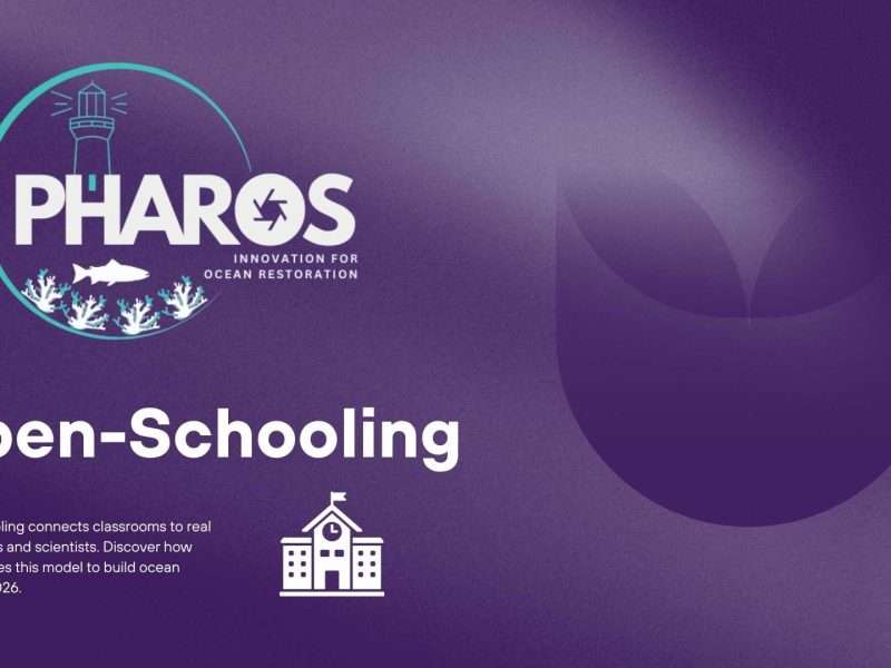 Image that has text that reads: Open-Schooling and contains the PHAROS logo.