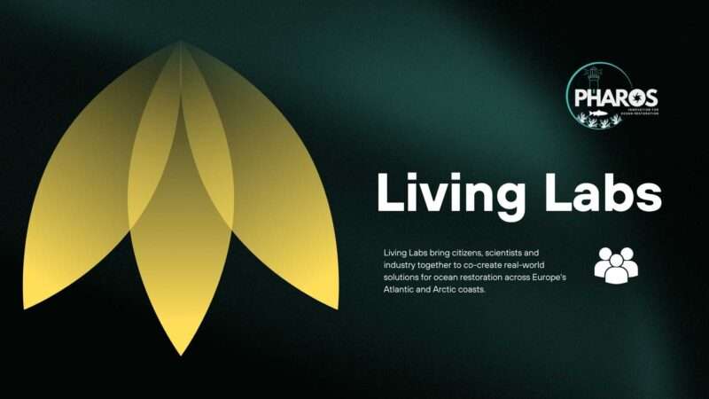 Abstract image with text that reads: Living Labs and showcase logo of the PHAROS project.