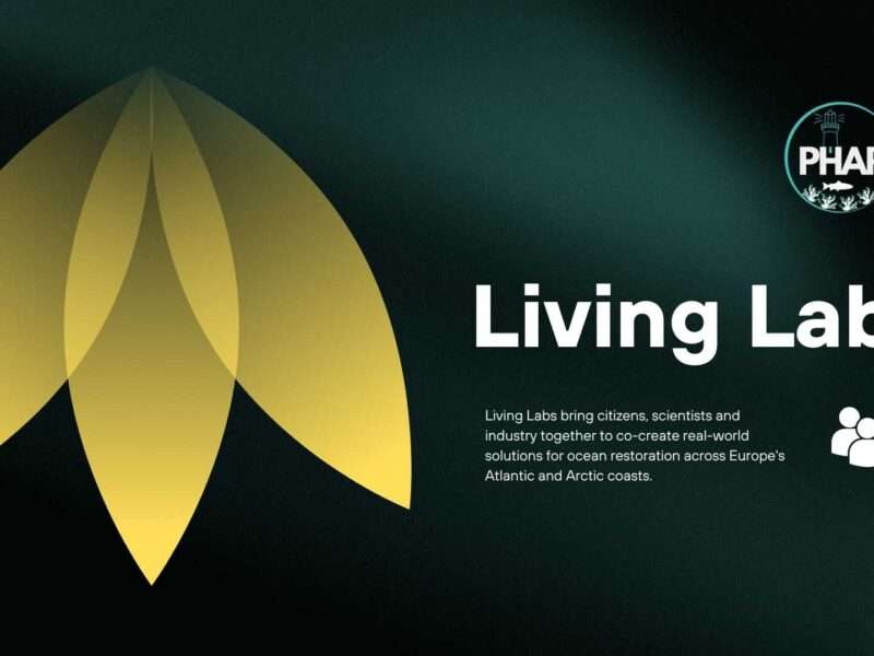 Abstract image with text that reads: Living Labs and showcase logo of the PHAROS project.