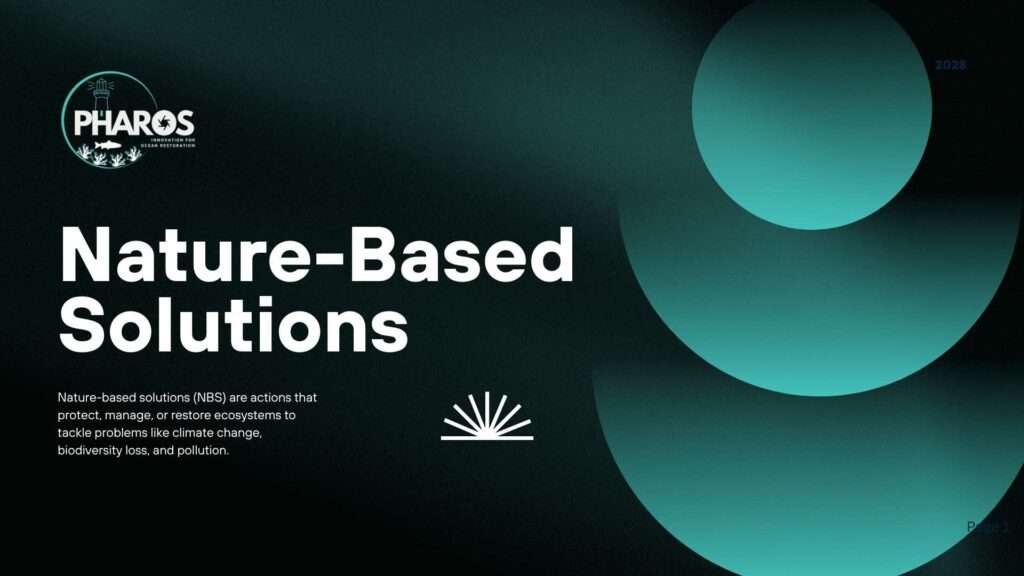 Image shows text that reads: Nature-Based Solutions with abstract circle shapes in light green colour of the PHAROS project brand.