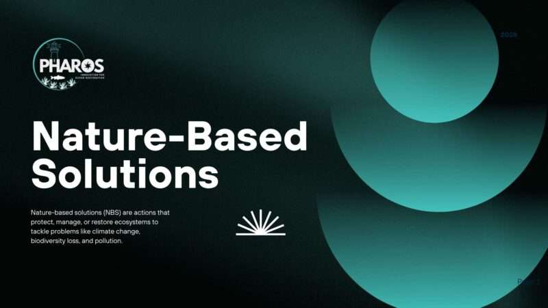 Image shows text that reads: Nature-Based Solutions with abstract circle shapes in light green colour of the PHAROS project brand.