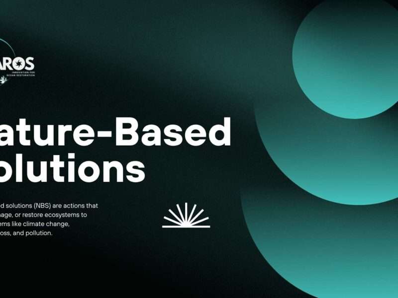 Image shows text that reads: Nature-Based Solutions with abstract circle shapes in light green colour of the PHAROS project brand.