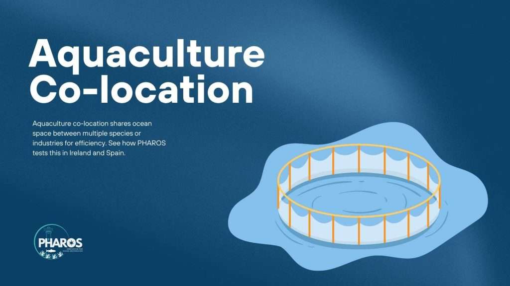 Image with text that writes: Aquaculture Co-location