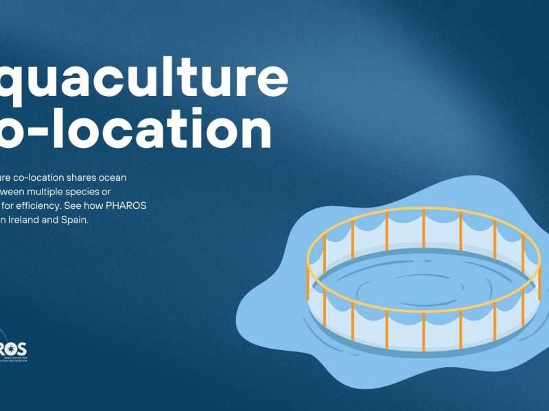 Image with text that writes: Aquaculture Co-location