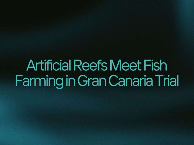 Artificial Reefs Meet Fish Farming in Gran Canaria Trial